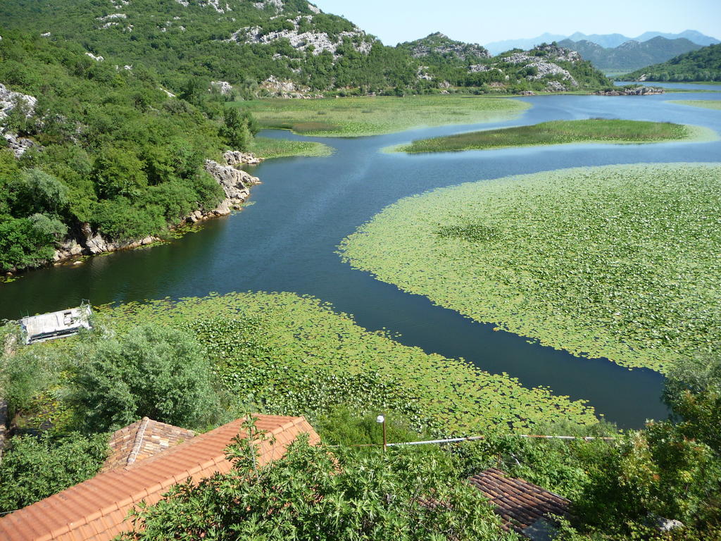 Studios Peric Sveti Stefan Oda fotoğraf